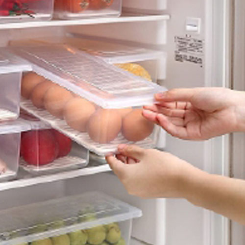 Fridge Containers Fridge Containers